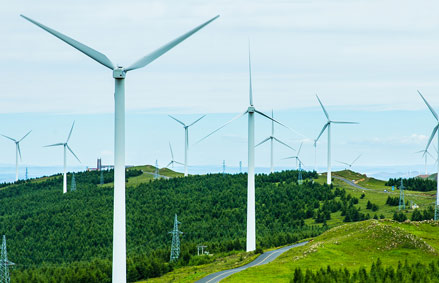 In 2025, the company will organize employee team building in Tianjisengu to increase team cohesion